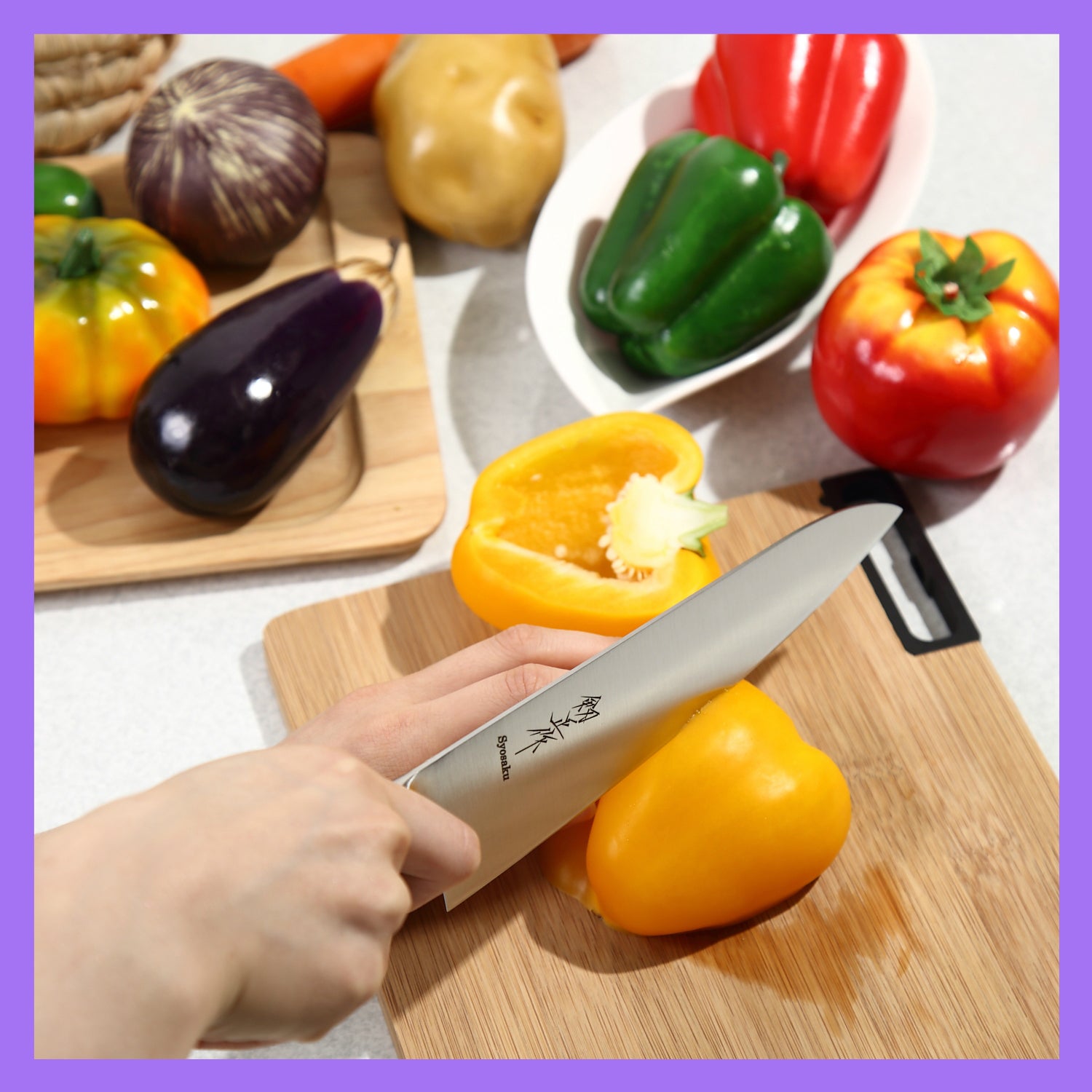 Syosaku Japanese Chef Knife INOX AUS-8A Stainless Steel Integrated Handle, Gyuto 8.3-inch (210mm)