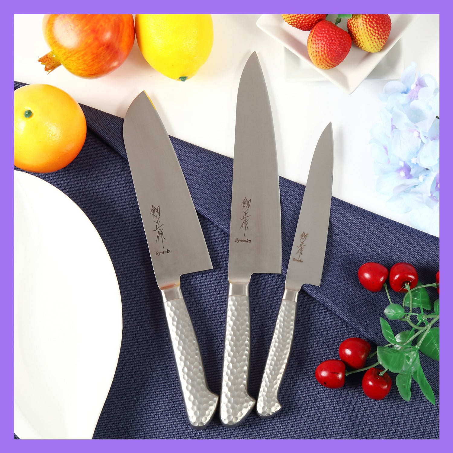 Syosaku Japanese Chef Knife INOX AUS-8A Stainless Steel Integrated Handle, Gyuto 8.3-inch (210mm)
