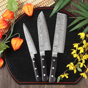 Syosaku Japanese Multi Purpose Best Sharp Kitchen Chef Knife Shaded Damascus VG-10 16 Layer Black Pakkawood Handle, Santoku 6.5-inch (165mm)